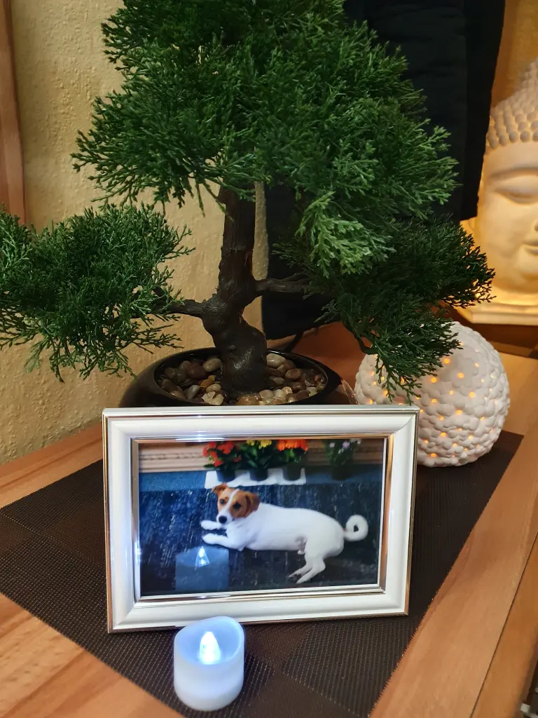 Condolence image of Dirk