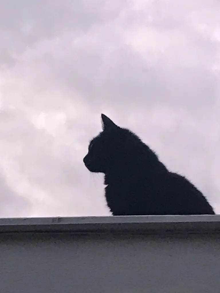 Image from Milow