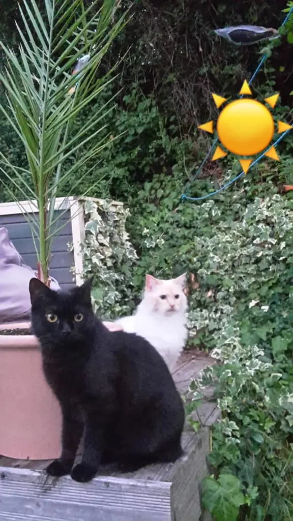 Image from Milow