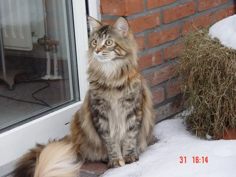 Image from Cleo