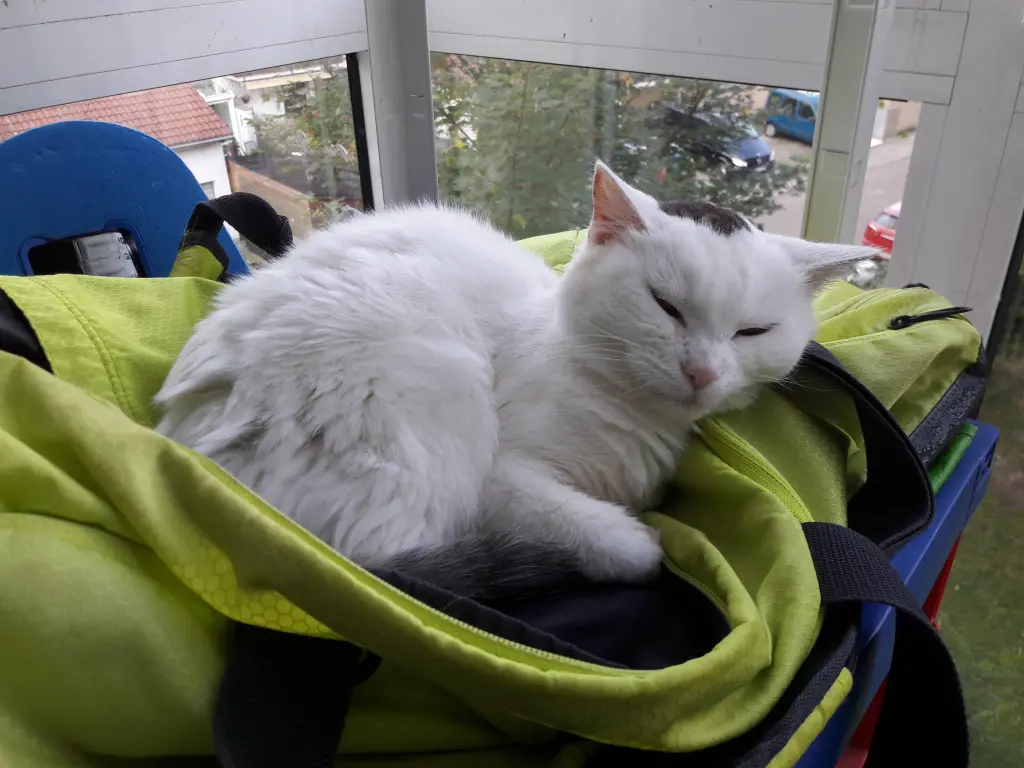 Bild von Tweedy