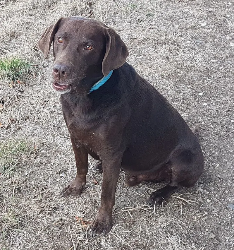 Andachtsbild von Silvana 