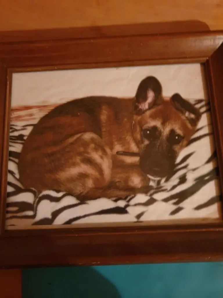 Condolence image of Unbekannt