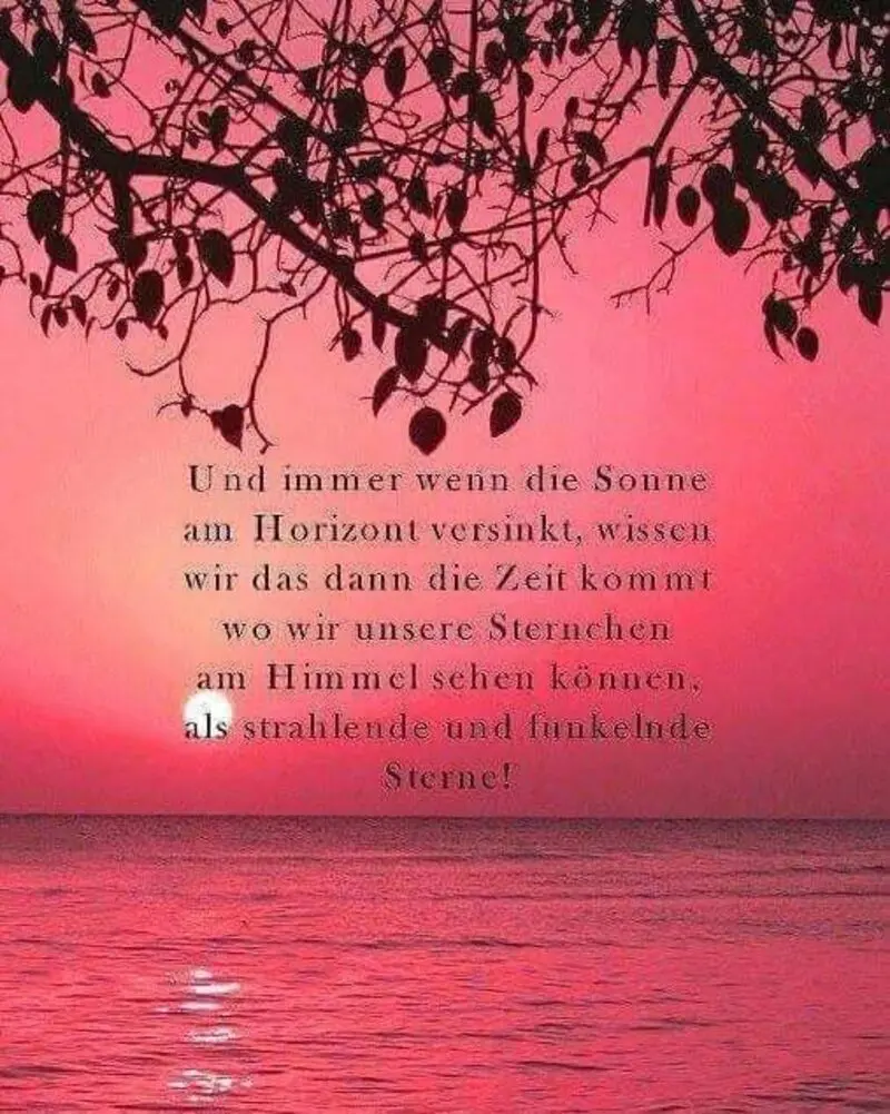 Condolence image of Tanja