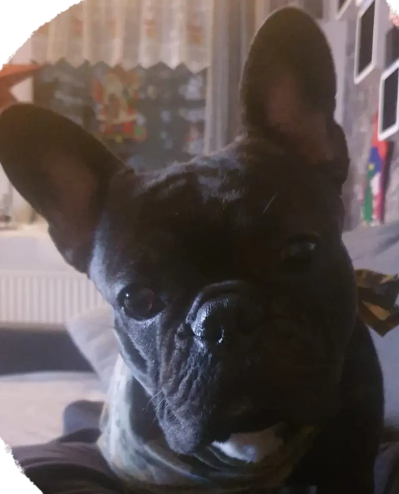 Andachtsbild von Monique