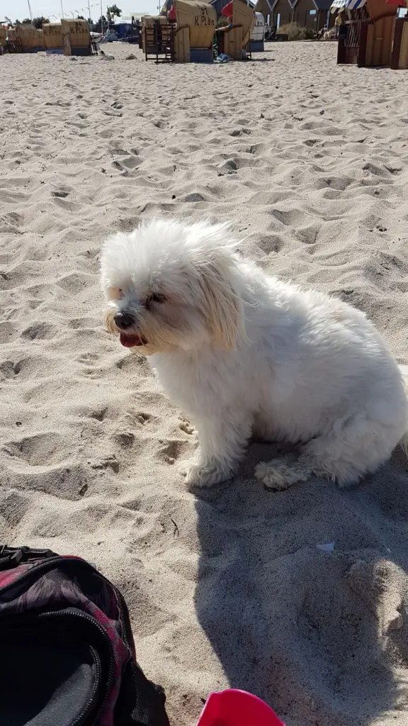 Andachtsbild von Ulli