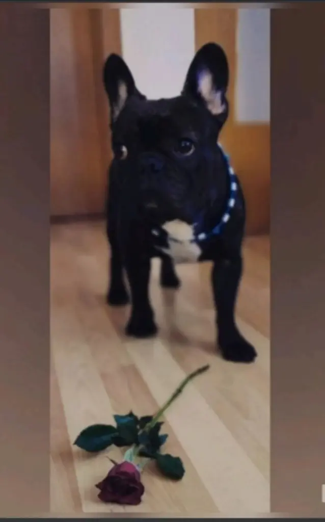 Andachtsbild von Roberto  Fargnoli