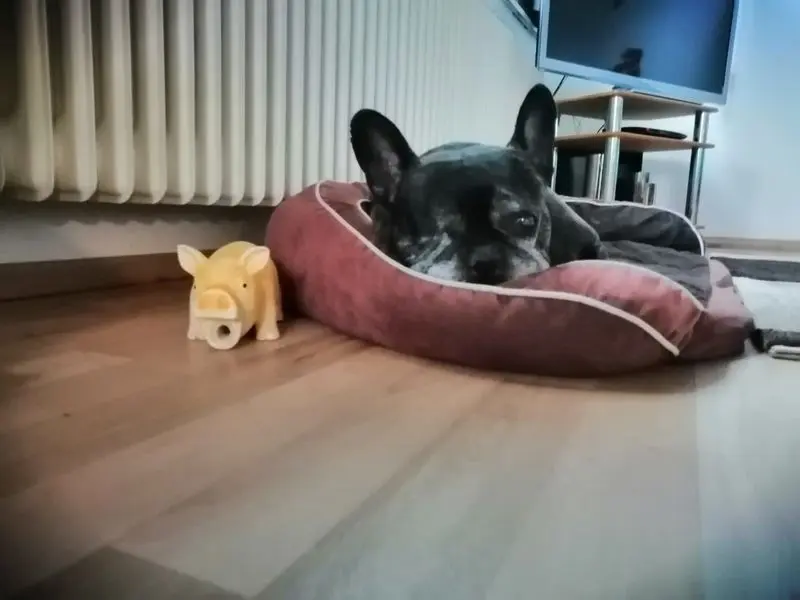 Andachtsbild von Unbekannt