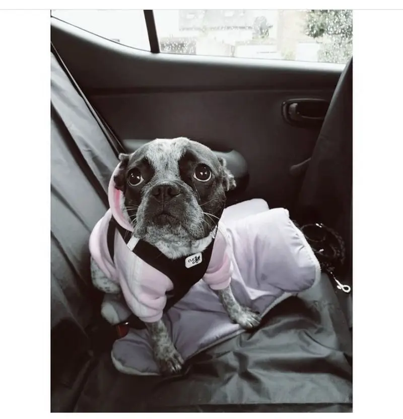 Andachtsbild von Chantal  Juline Koch