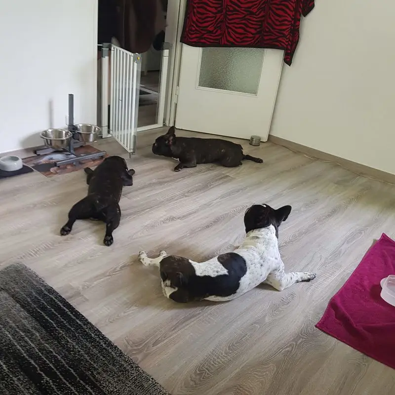 Andachtsbild von Chantal