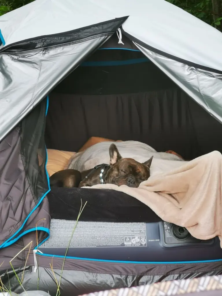 Andachtsbild von Marcel Shotty