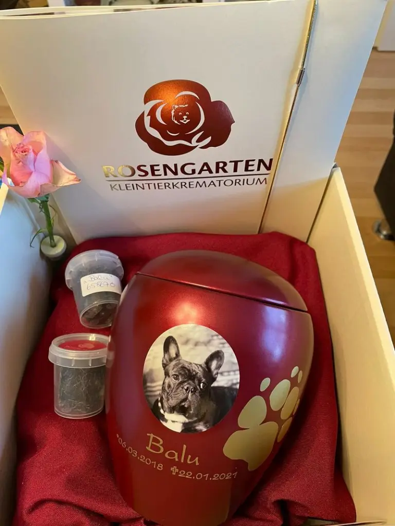 Andachtsbild von Vanessa