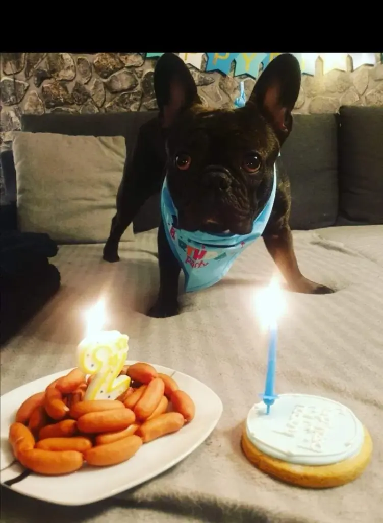 Andachtsbild von Vanessa