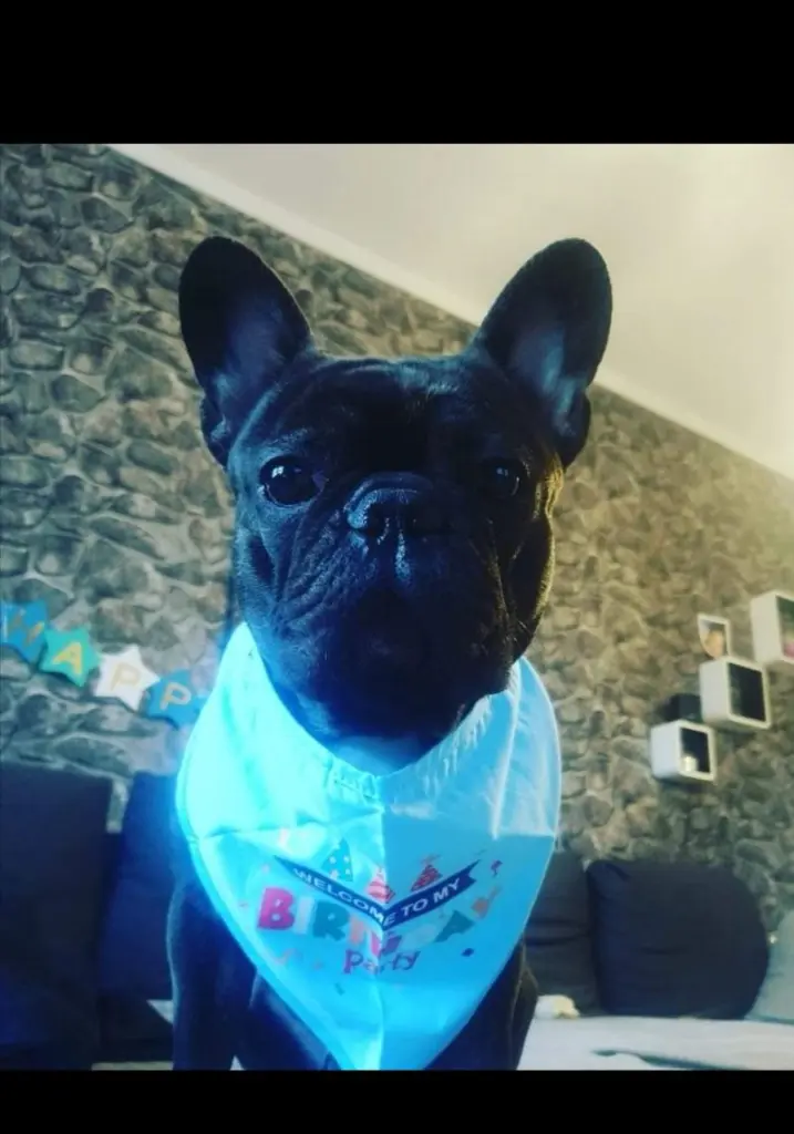 Andachtsbild von Vanessa