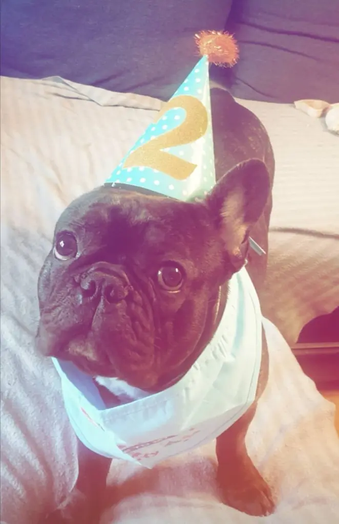 Andachtsbild von Vanessa