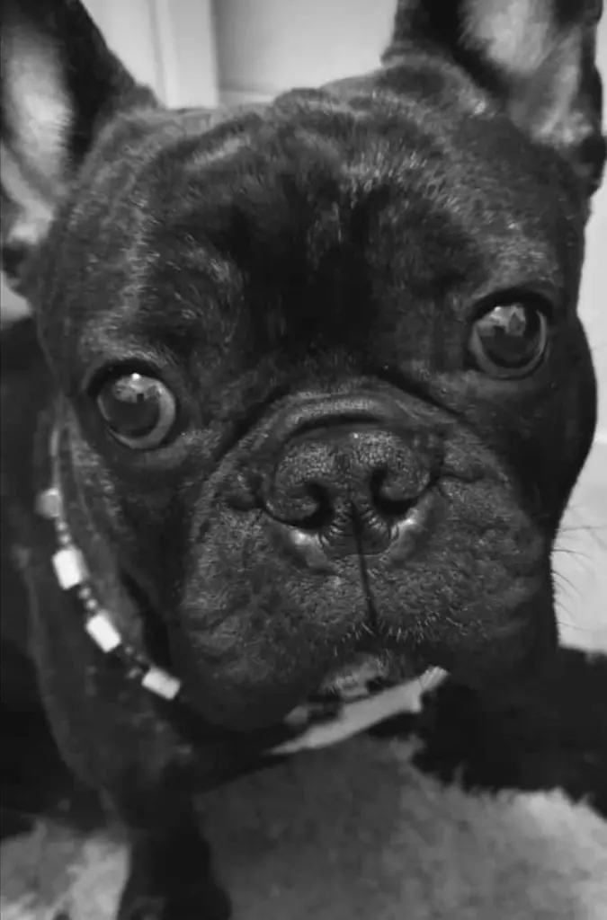 Andachtsbild von Vanessa