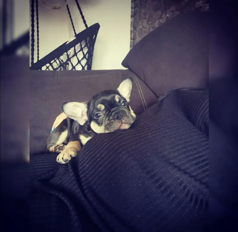 Andachtsbild von Vanessa