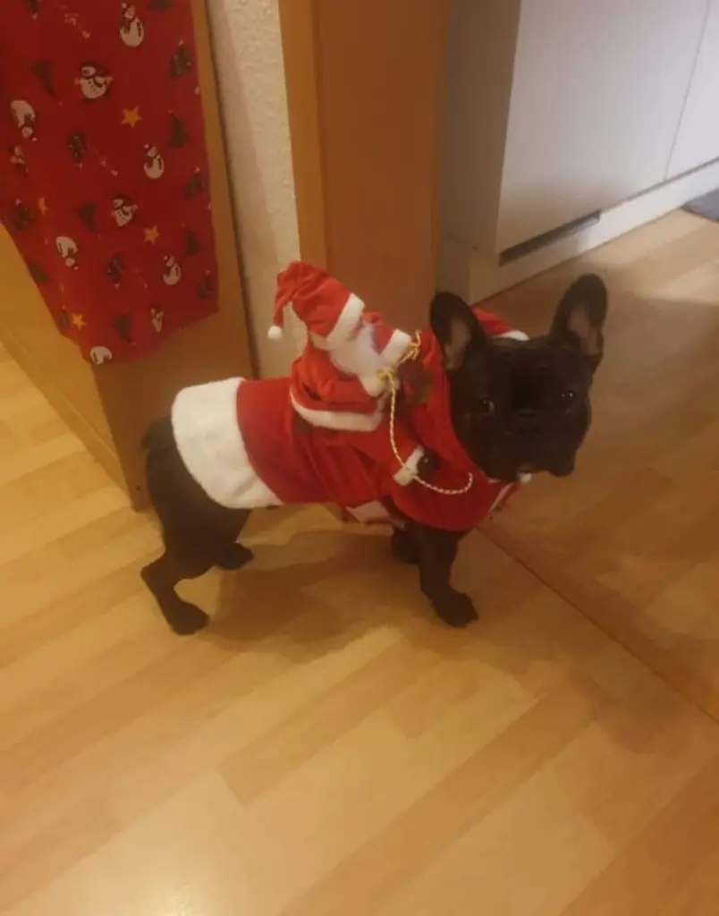 Andachtsbild von Vanessa