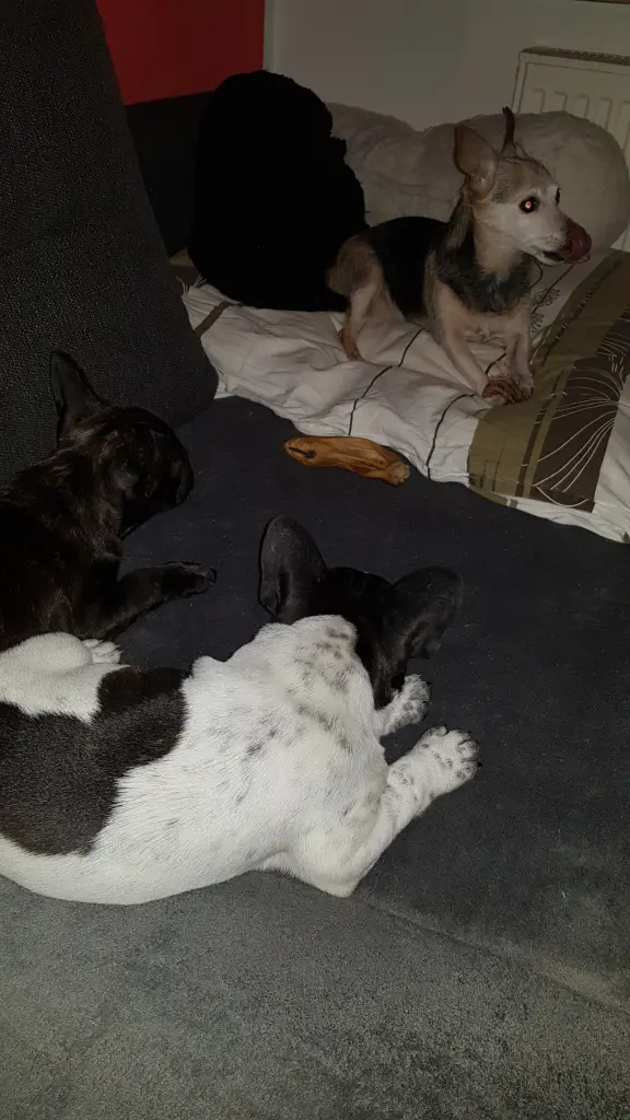 Andachtsbild von Monique Ernst