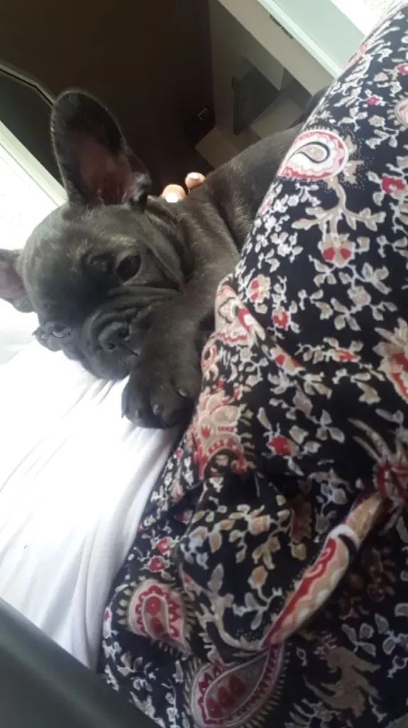 Andachtsbild von Monique Ernst