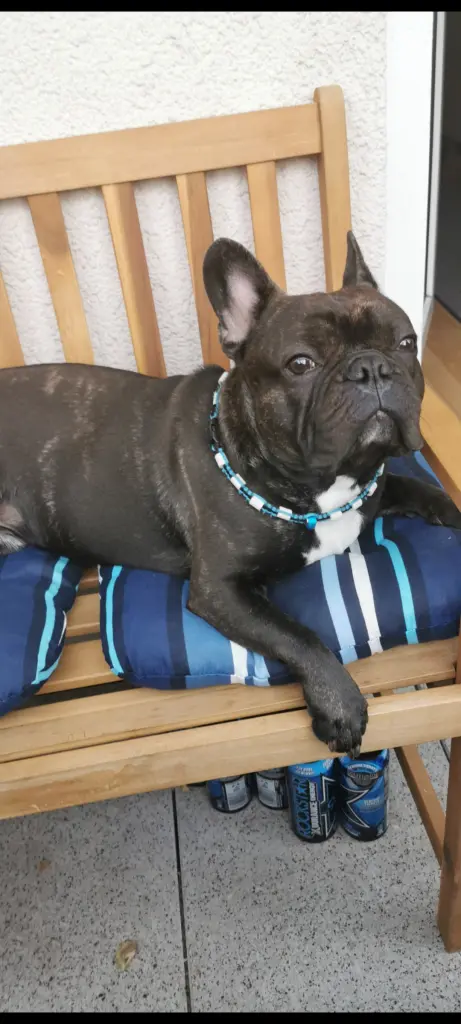 Andachtsbild von Vanessa