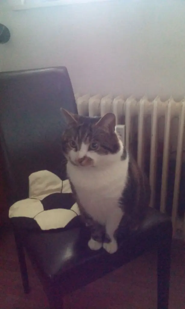 Condolence image of Marlon