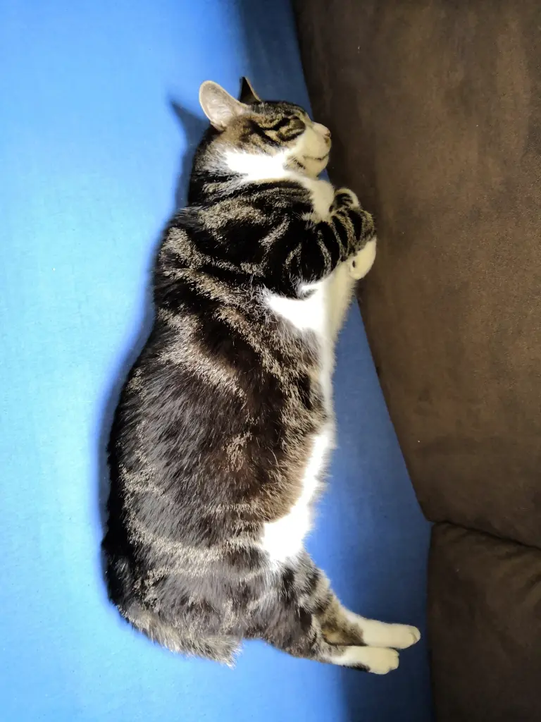 Image from Findus