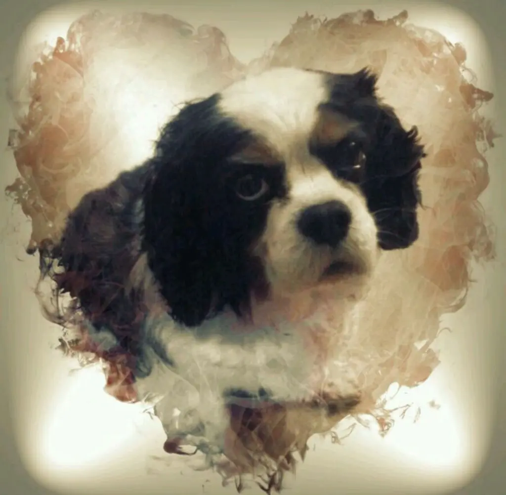 Image from Isabell
