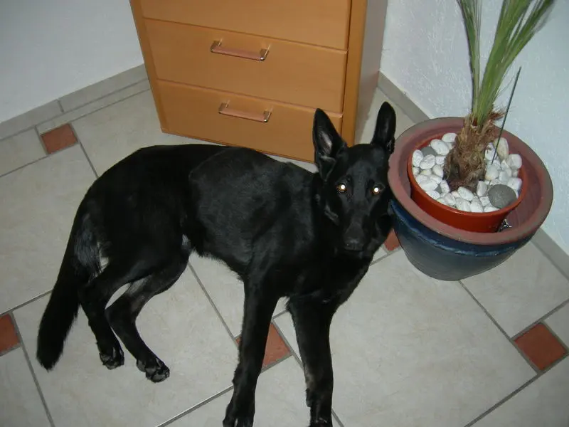 Image from Hanya