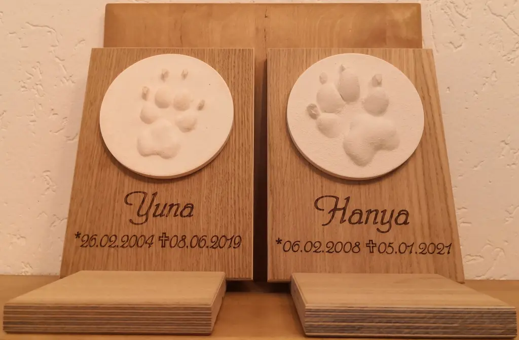 Image from Hanya