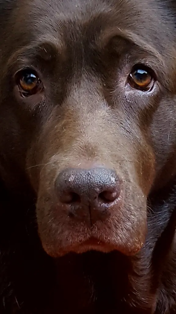 Andachtsbild von Bianka mit Ronja im Herz