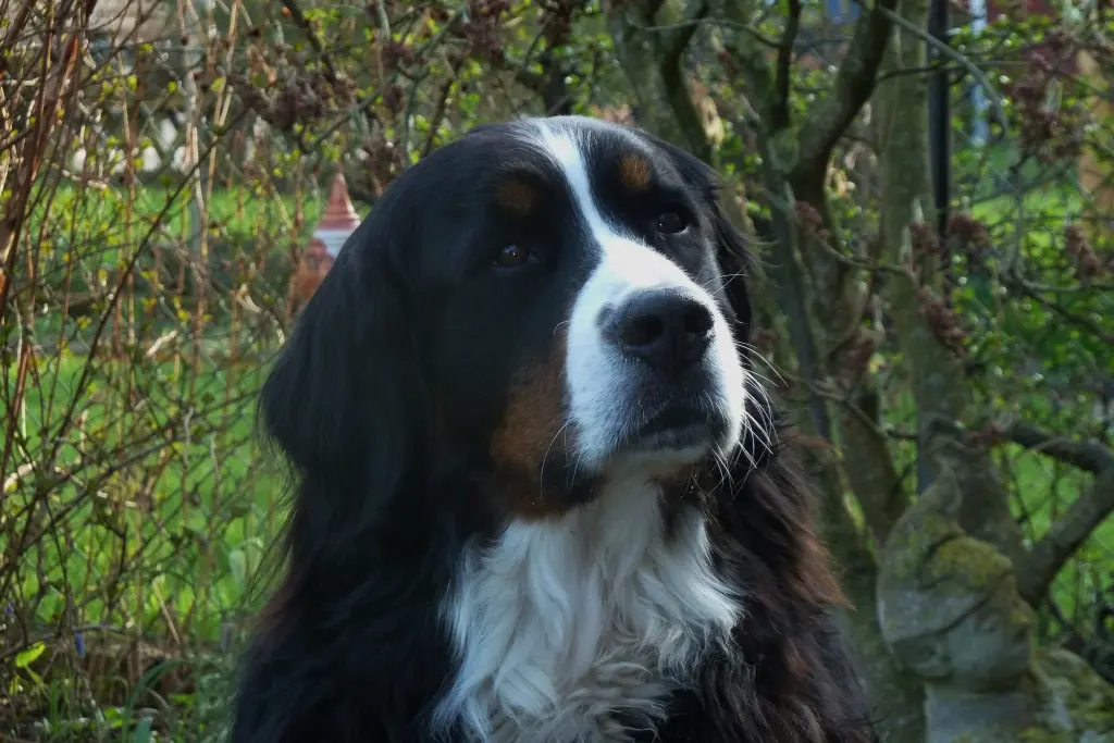 Bild von Betty