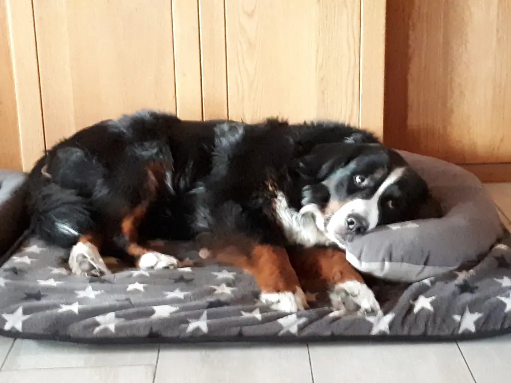 Bild von Betty