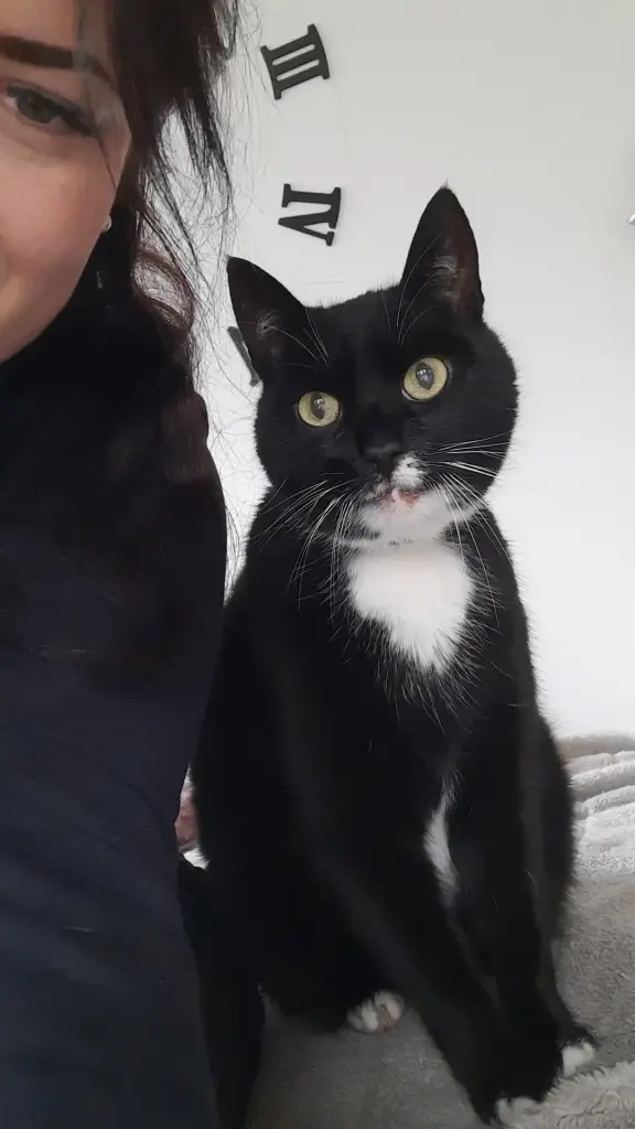 Image from Blacky "Bebi"