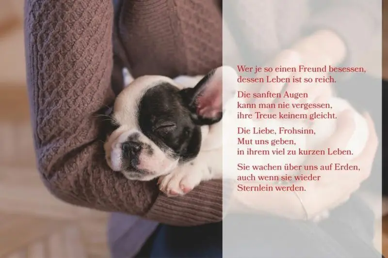 Andachtsbild von Andrea mit Minki im ❤ gest.19.10.2020