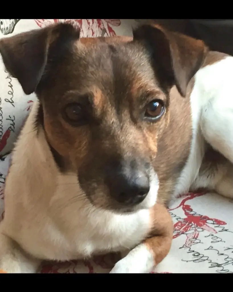 Bild von Lucky