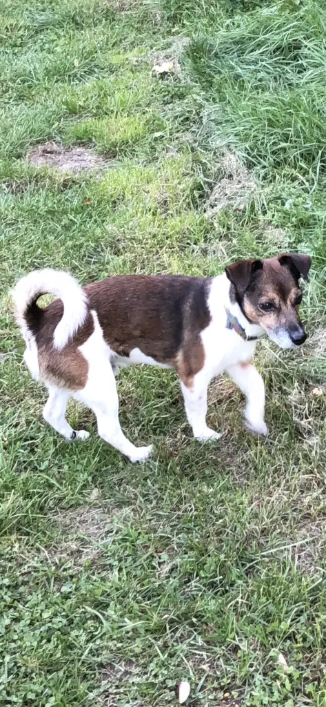 Bild von Lucky
