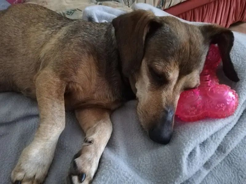 Andachtsbild von Unbekannt