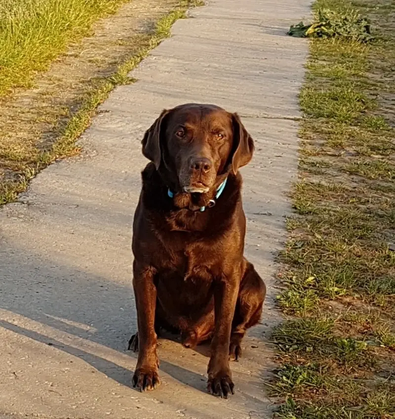 Condolence image of Silvana 