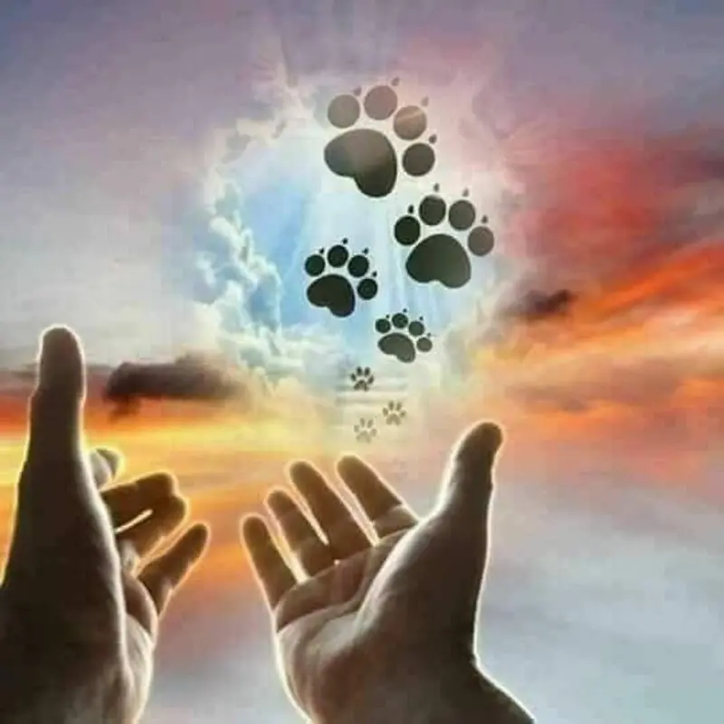 Condolence image of ❤❤❤