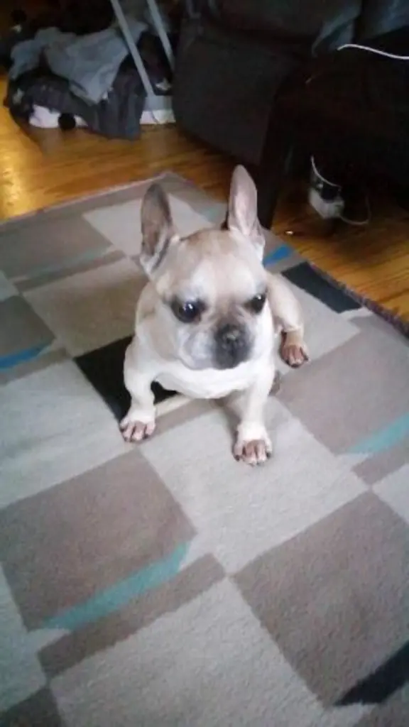 Condolence image of Doris