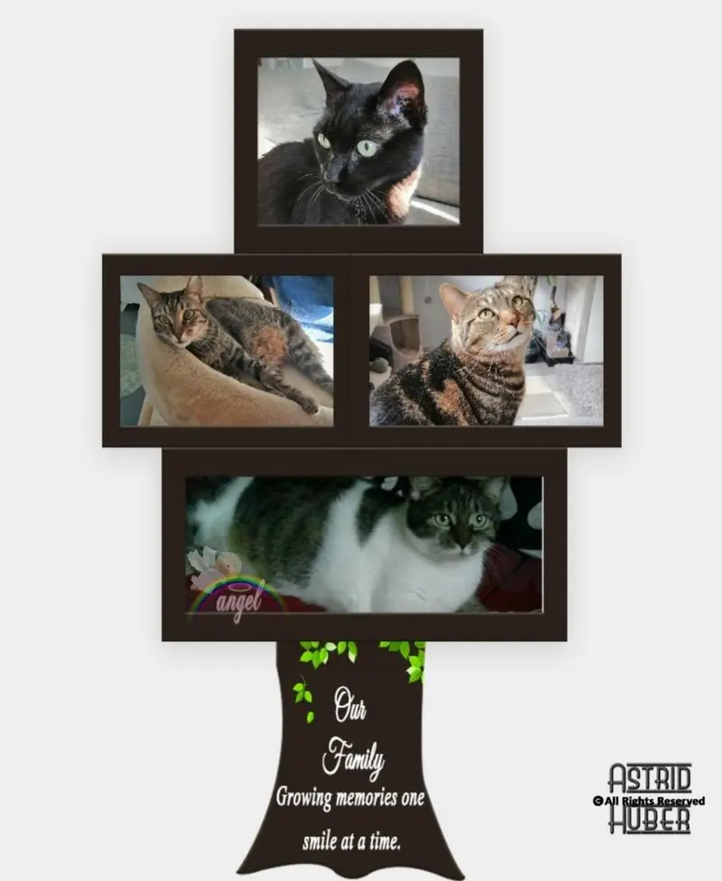 Condolence image of Astrid