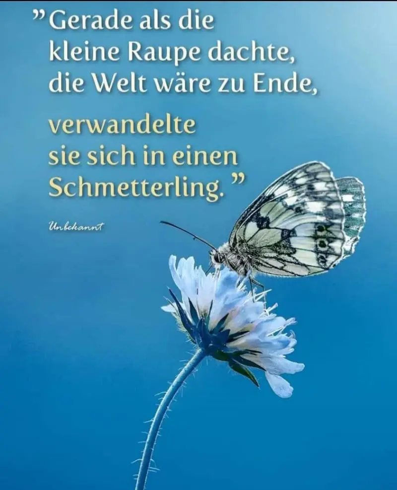 Condolence image of Sabine, Luna und Bonny Hübler
