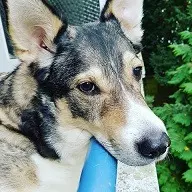 Condolence image of David Surmann