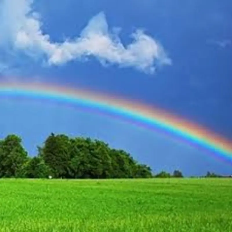 Andachtsbild von Frank mit Astor