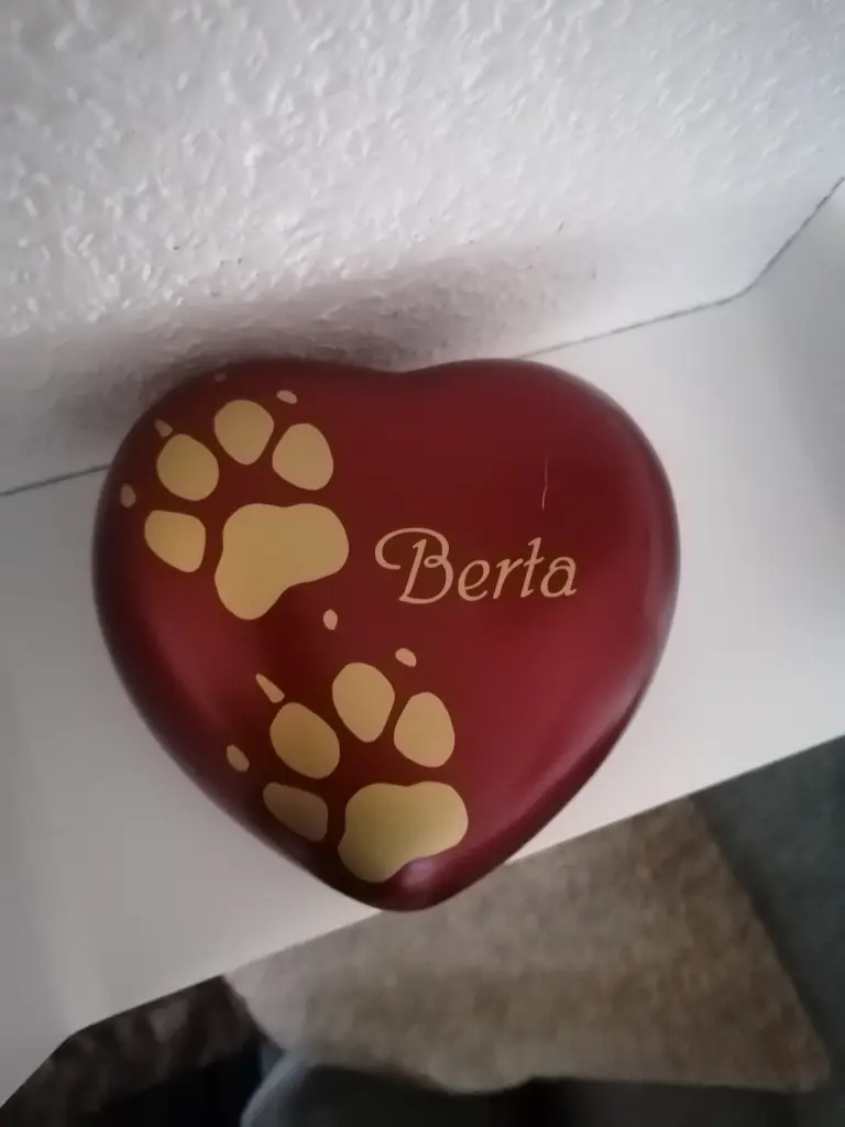 Image from Berta