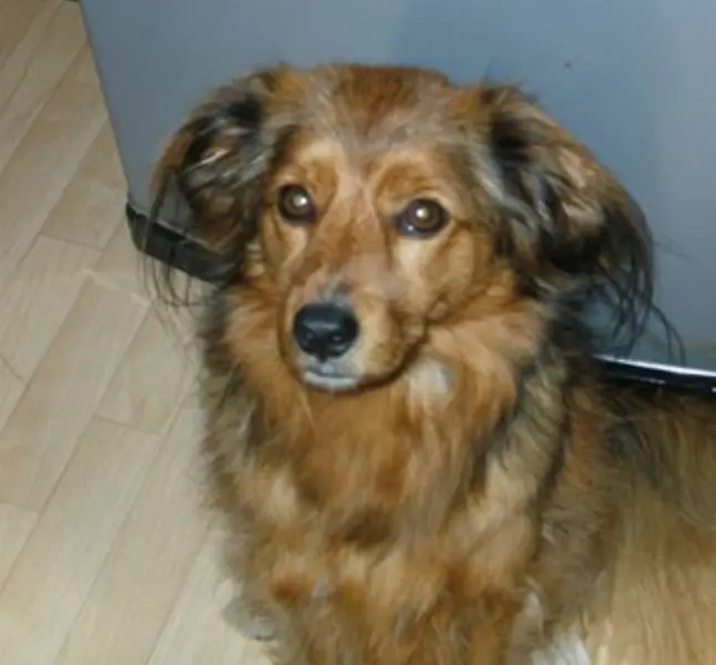 Andachtsbild von Marion