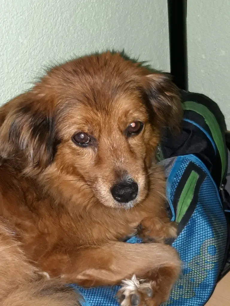 Andachtsbild von Marion