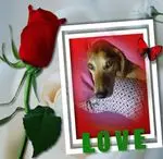 Andachtsbild von Marlies mit Pietsch tief im Herzen