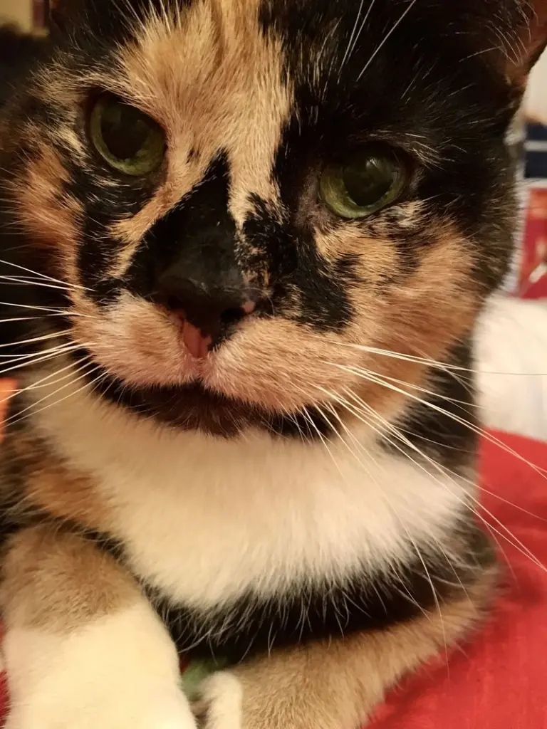 Andachtsbild von Elif und Jana